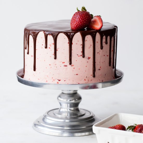 Chocolate-Dipped Strawberry Cake