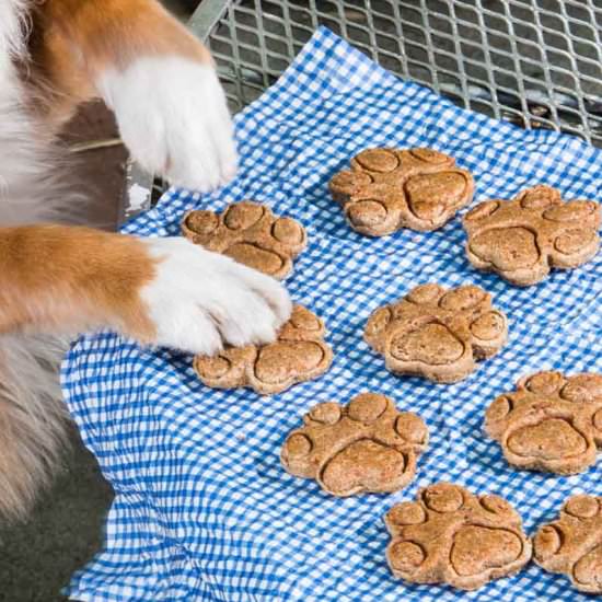 Homemade Dog Treats