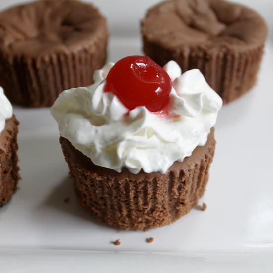 Mini Chocolate Cheesecakes