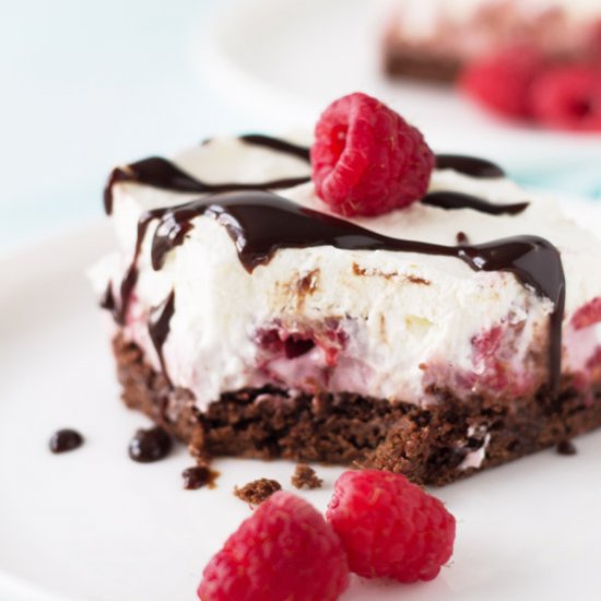 Raspberry Brownie Frozen Yogurt