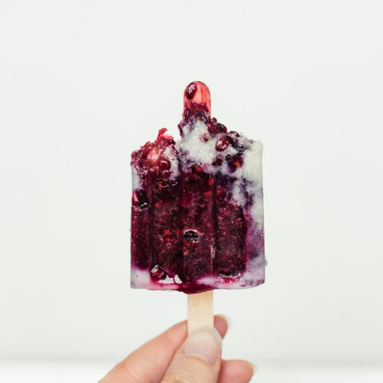 Homemade Blackberry Popsicles