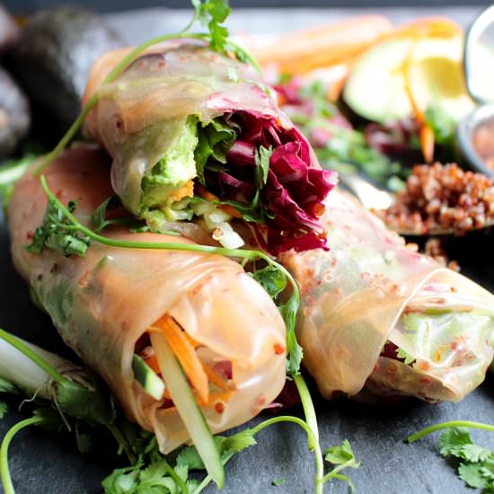 {Vegan} Quinoa Veggie Spring Rolls