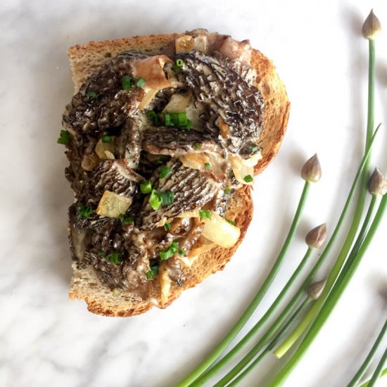 Creamy Morel Toast