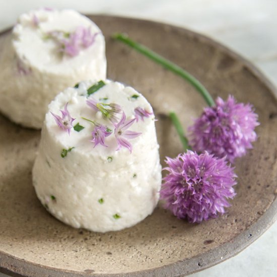 Homemade Chevre