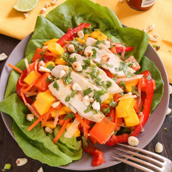 Thai Chicken Salad with Mango