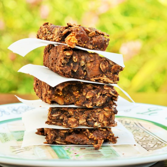 Fig and Oat Bars