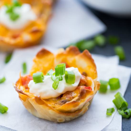 Taco Wonton Cups