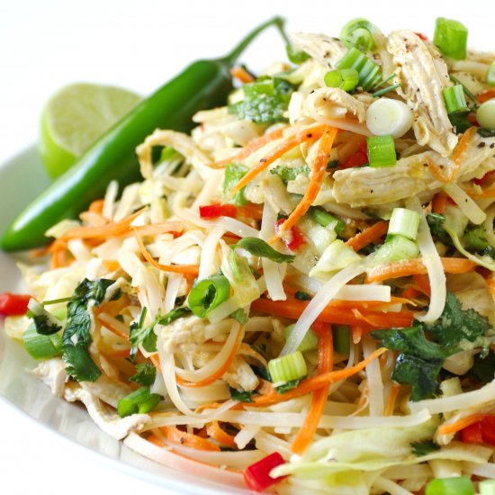 Vietnamese Chicken Salad + Noodles