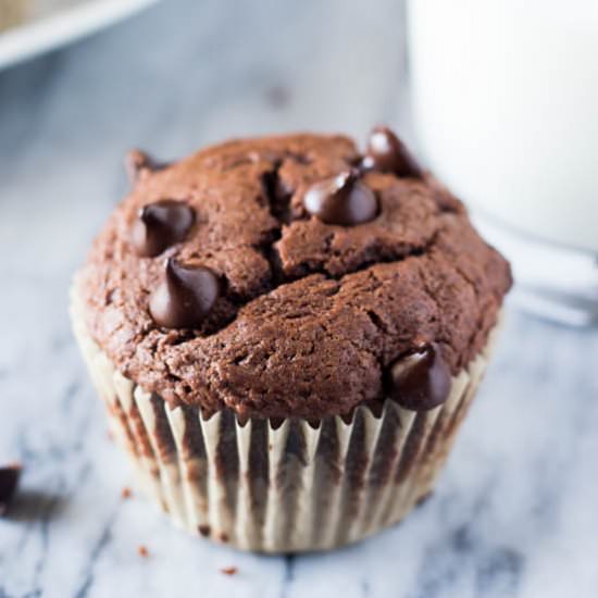 Double Chocolate Muffins