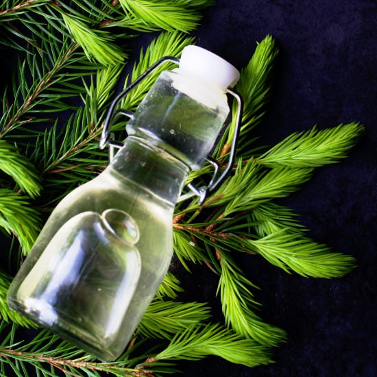 Spruce Tip Syrup