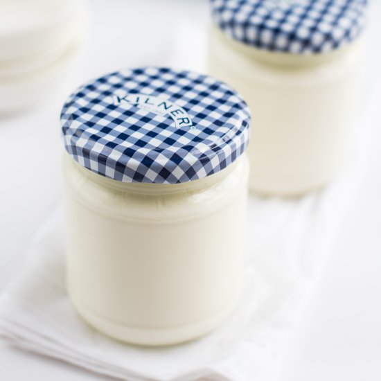 Homemade Yogurt