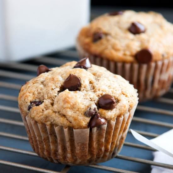 Banana Chocolate Chip Muffins