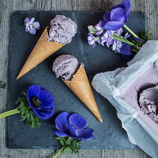 Blueberry ice cream