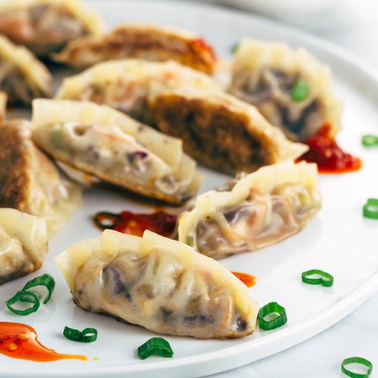 Crispy Vegetable Tofu Dumplings