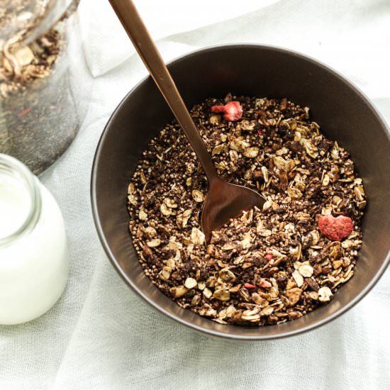 Vegan chocolate granola