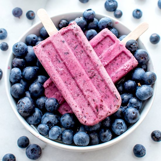 Vegan Blueberry Coconut Pops (GF)