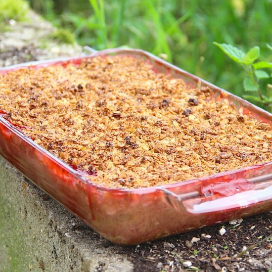 Rubarb Strawberry Crumble