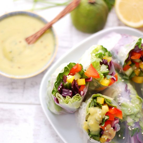 Vegetable Spring Rolls