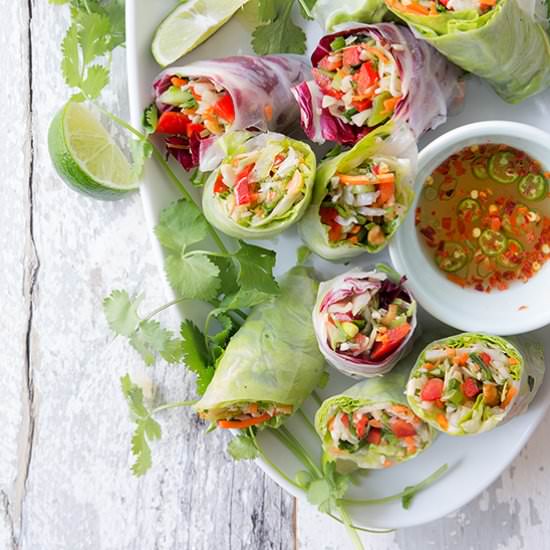 Chinese Salad Spring Rolls