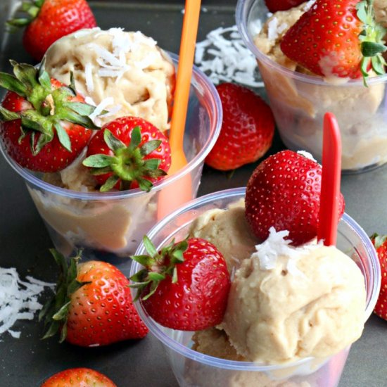 Vegan Coconut Frozen Yogurt