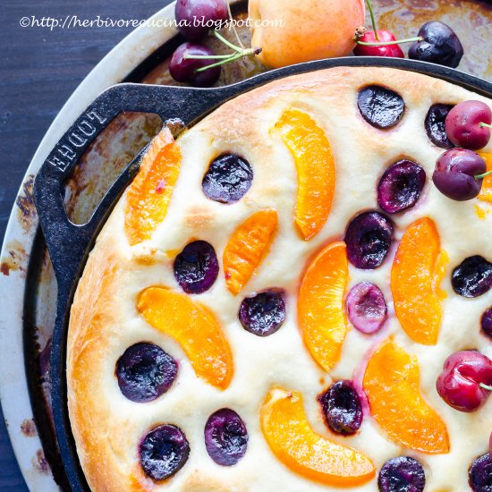 Apricot and Cherry Focaccia