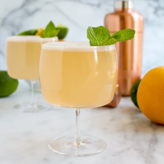 Triple Citrus Gin Spritzer