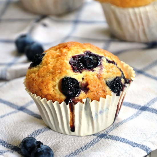 Fluffy Blueberry Muffins