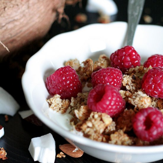 Coconut Almond Granola