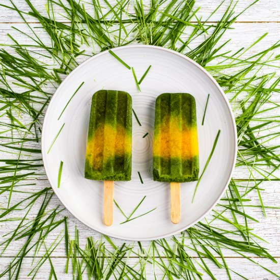 Wheatgrass and Orange Popsicles