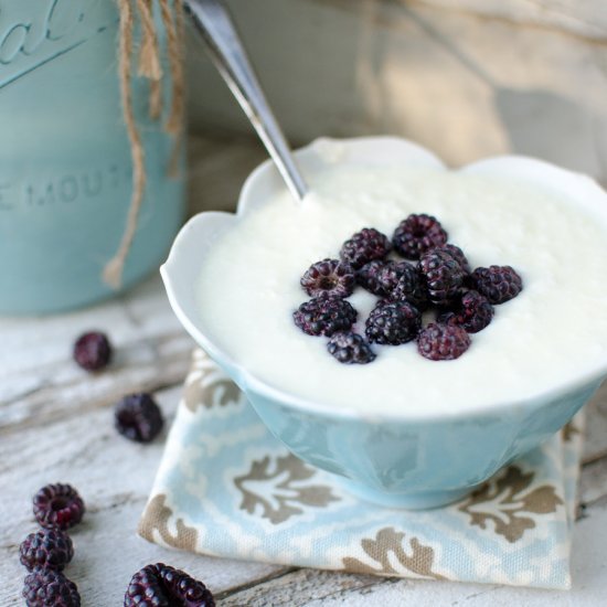 Homemade Vanilla Yogurt