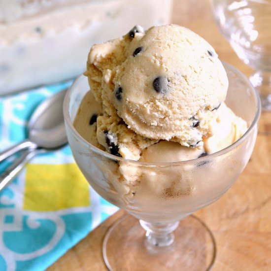 Peanut Butter Chocolate Chip Froyo