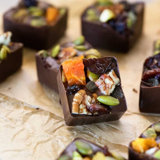 Dark Chocolate Fruit Nut Bites