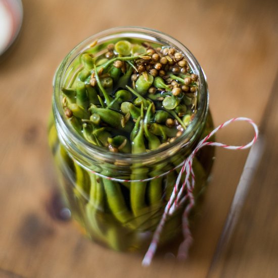 Harissa Inspired Green Bean