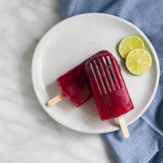 Blueberry Hibiscus Popsicle