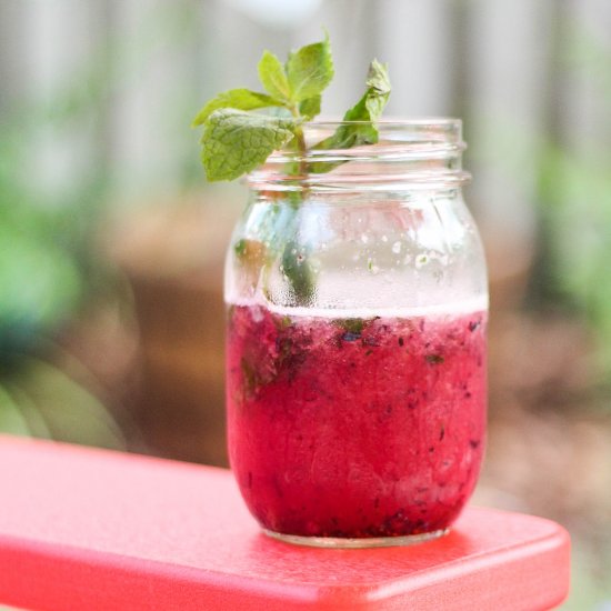 Blueberry Lemonade Frozen Cocktails