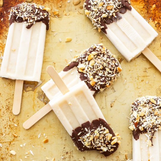 Chocolate Coconut Yogurt Pops