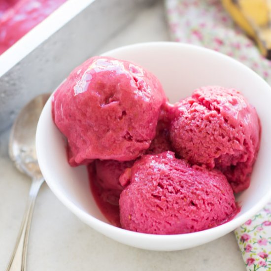 Healthy Blender Raspberry Ice Cream