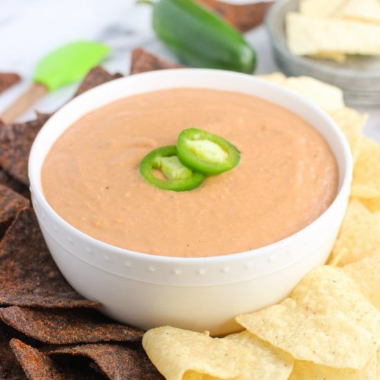 cheesy salsa bean dip