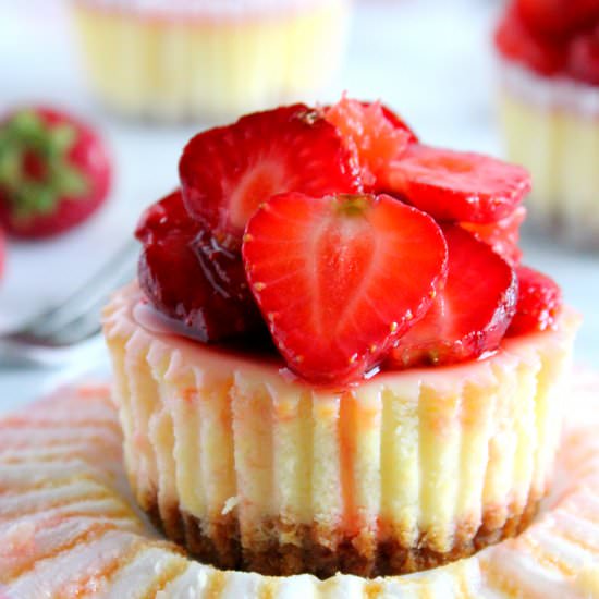 Strawberry Grapefruit Cheesecakes