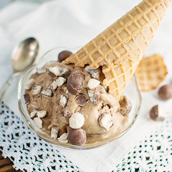 Chocolate Malt Ice Cream