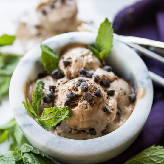 Chocolate Mint Chip Ice Cream