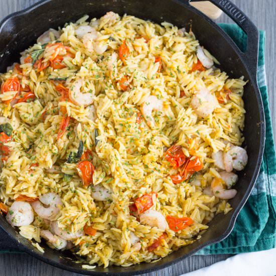 Shrimp Orzo with Tomato