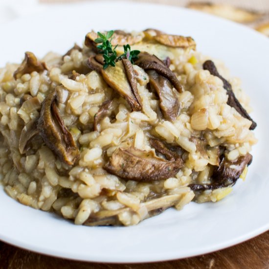 Wild Mushroom and Leek Risotto