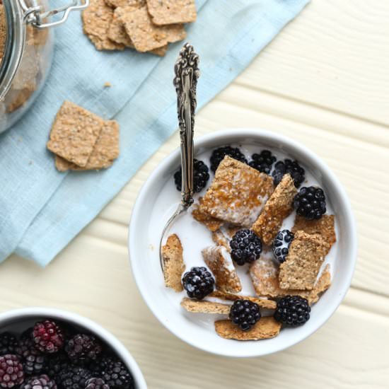 Healthy Allergy-Free Cereal