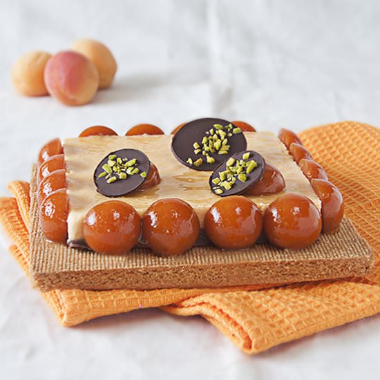 Modern Apricot and Chocolate Tart