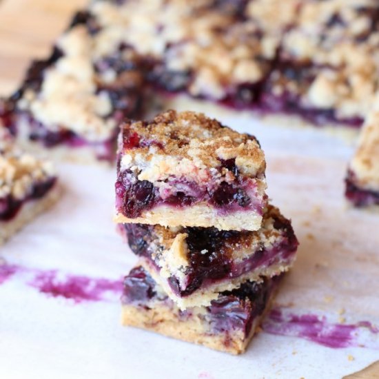 Blueberry Crumb Bars