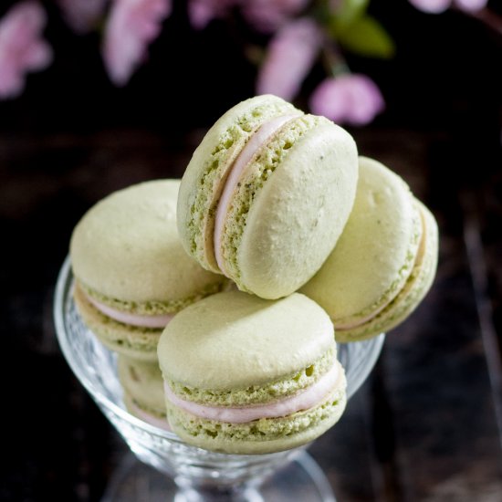 Cherry Matcha Macarons