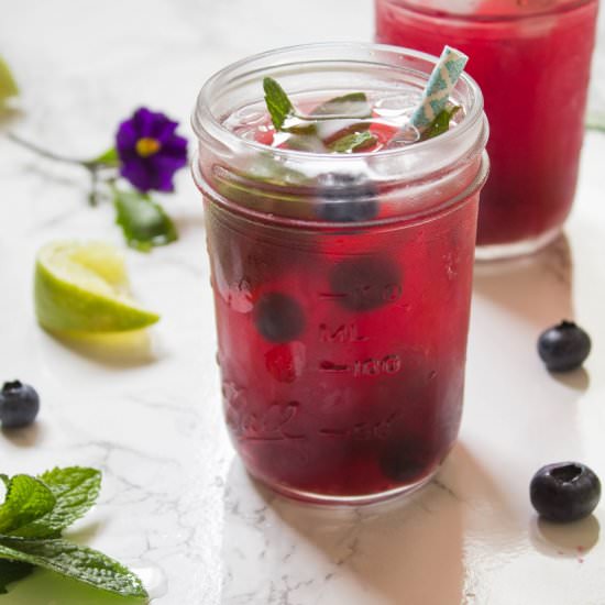 Blueberry Pomegranate Mint Limeade