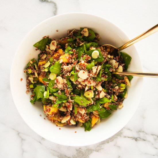 SUMMER QUINOA SALAD WITH MANGOES