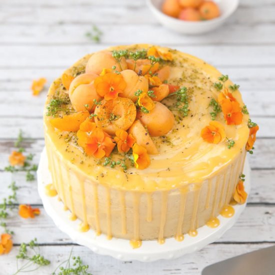 Apricot Pistachio Cake